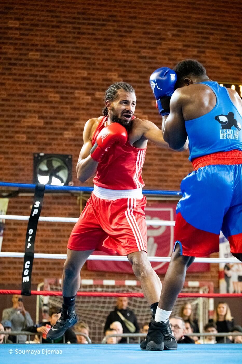 Un boxeur du club en combat sur le ring
